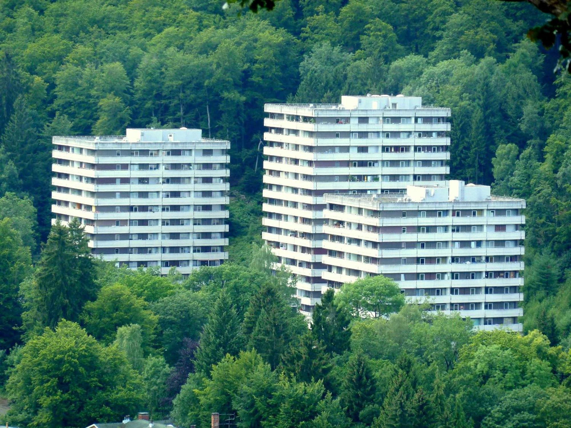 Ferienwohnung Schwalbennest Bad Harzburg Exterior foto